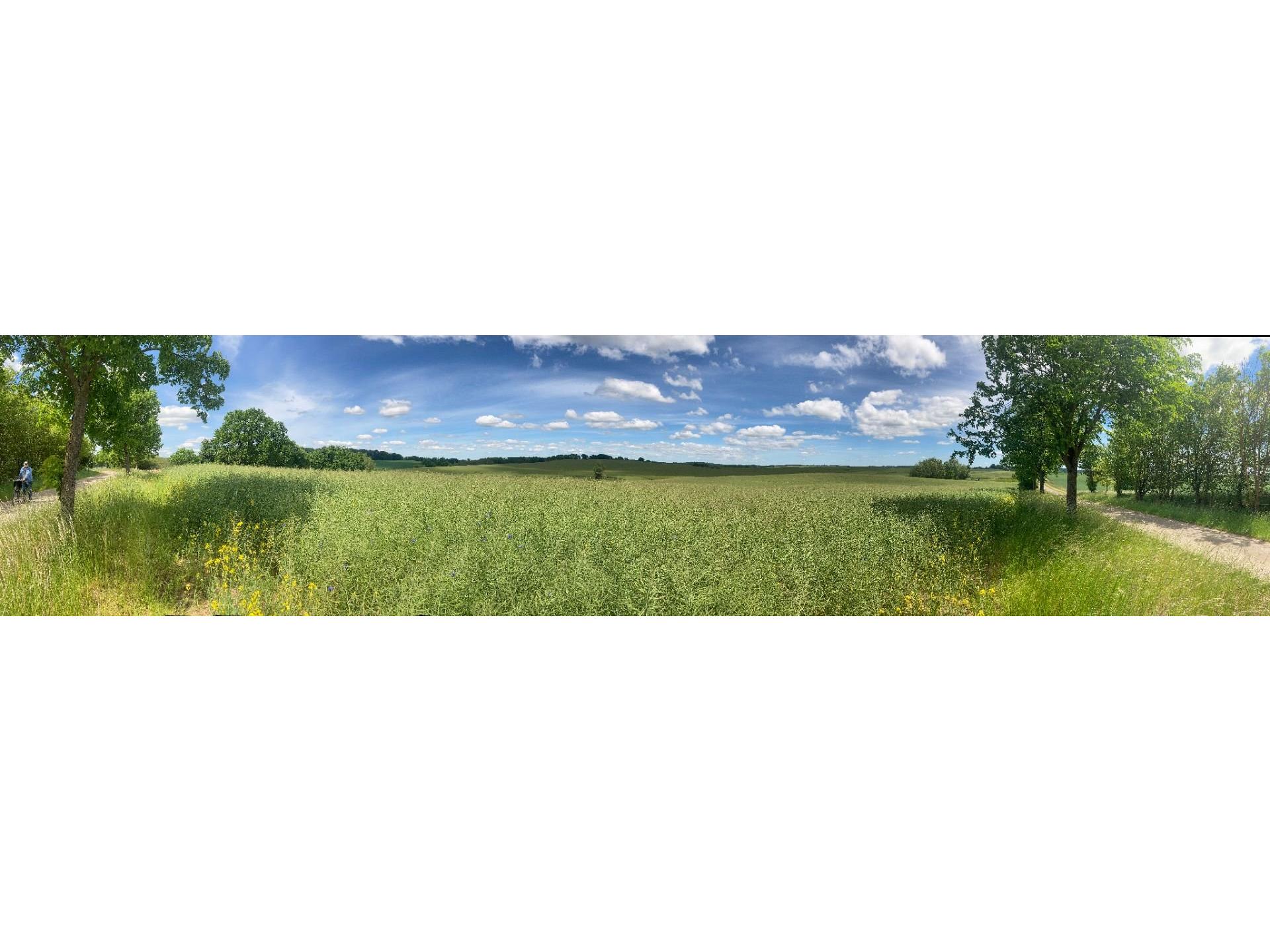 2 Wismar Foto 24